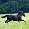 Sommer 2010
