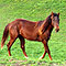 Fr�hjahr 2009
