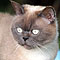 Kimba Sommer 2010