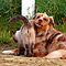 Kimba und SEIN Twister Herbst 2010