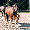 Fr�hjahr 2002 (3 Tage alt)