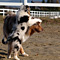 Twister und Cracker 2011