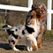Twister und Cracker 2011