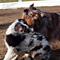 Twister und Cracker 2011