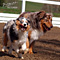 Twister und Cracker 2011