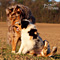 Twister und Cracker 2011