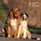 Twister und Cracker 2011