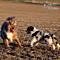 Twister und Cracker 2011