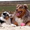 Twister und Cracker 2011