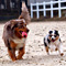 Twister und Cracker 2011