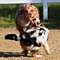 Twister und Cracker 2011