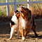 Twister und Cracker 2011