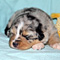 Jasper 2010