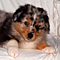 Jasper 2010