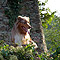 Niederburg 2010