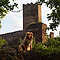 Niederburg 2010