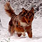 Twister Winter 2009/2010