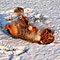 Twister Winter 2009/2010