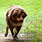Twister Sommer 2010