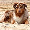 Twister 2006 in Holland an der Nordsee