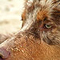 Twister 2006 in Holland an der Nordsee