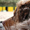 Twister 2006 in Holland an der Nordsee