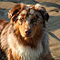 Twister 2006 in Holland an der Nordsee