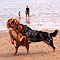 Twister und Ginger - Sommer 2010