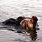 Ginger und Twister - Sommer 2009