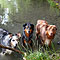 Ginger und Twister - Sommer 2009