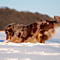 Winterimpressionen