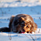 Winterimpressionen