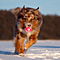 Winterimpressionen