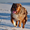 Winterimpressionen