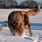 Winterimpressionen