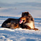 Winterimpressionen