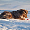 Winterimpressionen