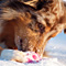 Winterimpressionen