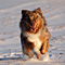 Winterimpressionen