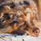 Winterimpressionen
