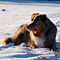 Winterimpressionen