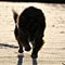 Winterimpressionen