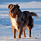 Winterimpressionen