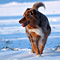 Winterimpressionen