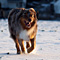 Winterimpressionen