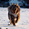 Winterimpressionen