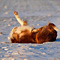 Winterimpressionen