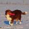 Winterimpressionen