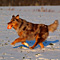 Winterimpressionen