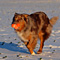 Winterimpressionen